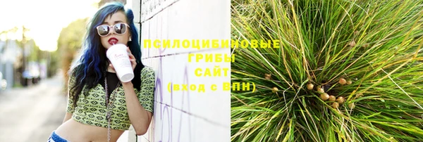 apvp Балабаново