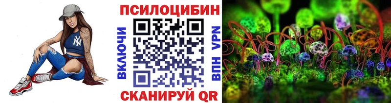 цены наркотик Светлоград Галлюциногенные грибы Psilocybe